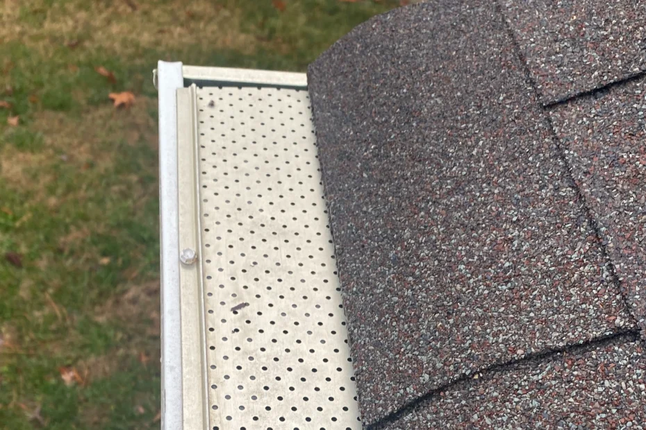 Gutter Cleaning West Windsor