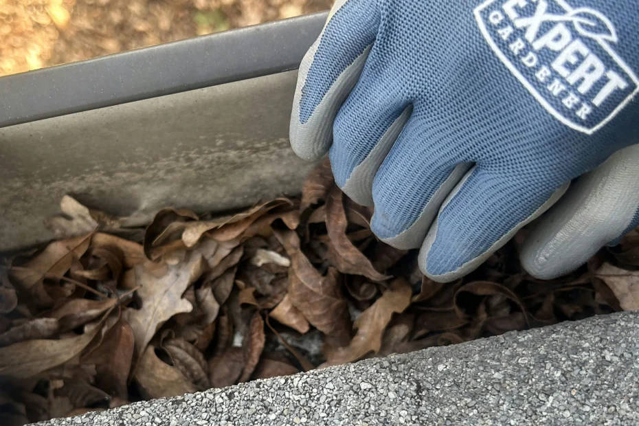 West Windsor Gutter Cleaning